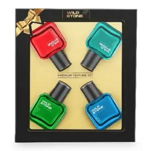 Wild Stone perfume combo pack four fragrances premium gift set men